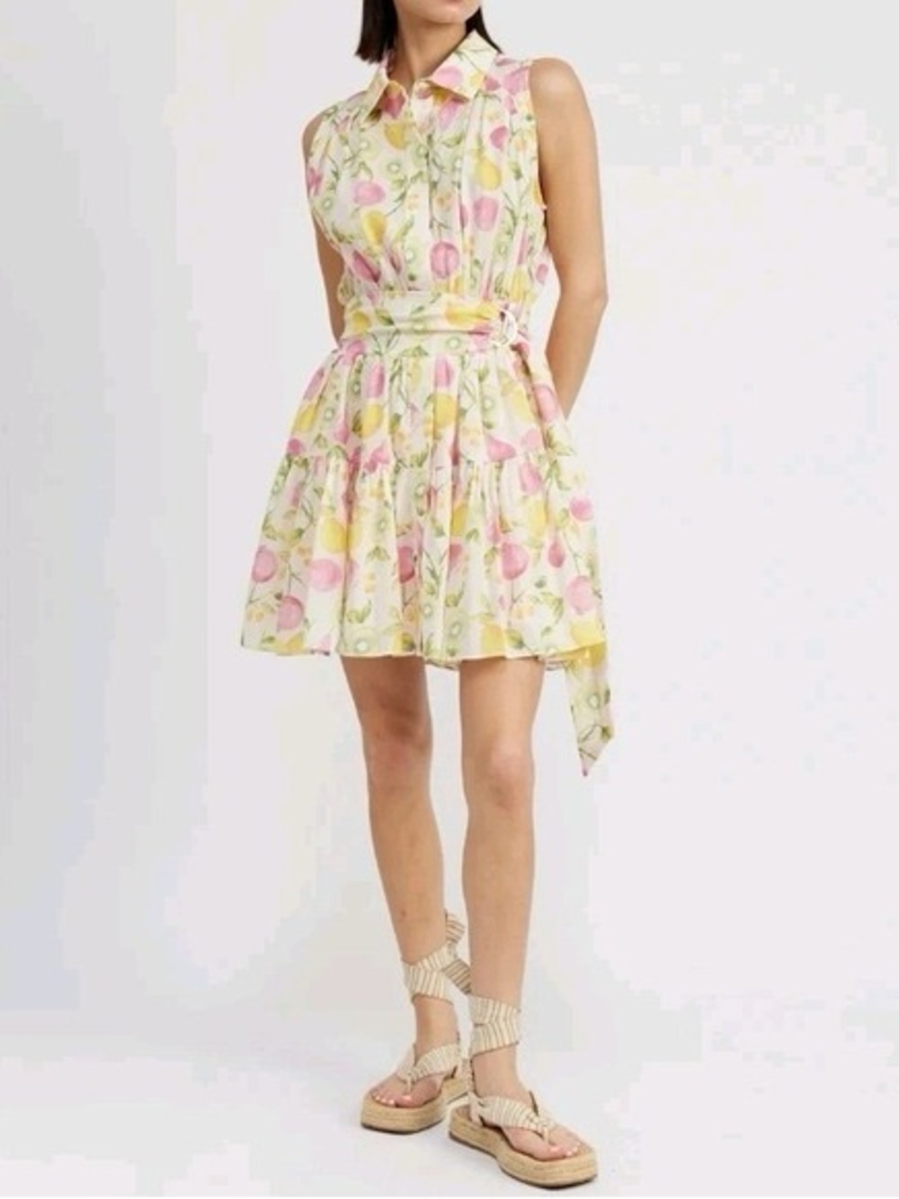 Cynthia Rowley Sleeveless Fruit Print Shirt Dress with Belt